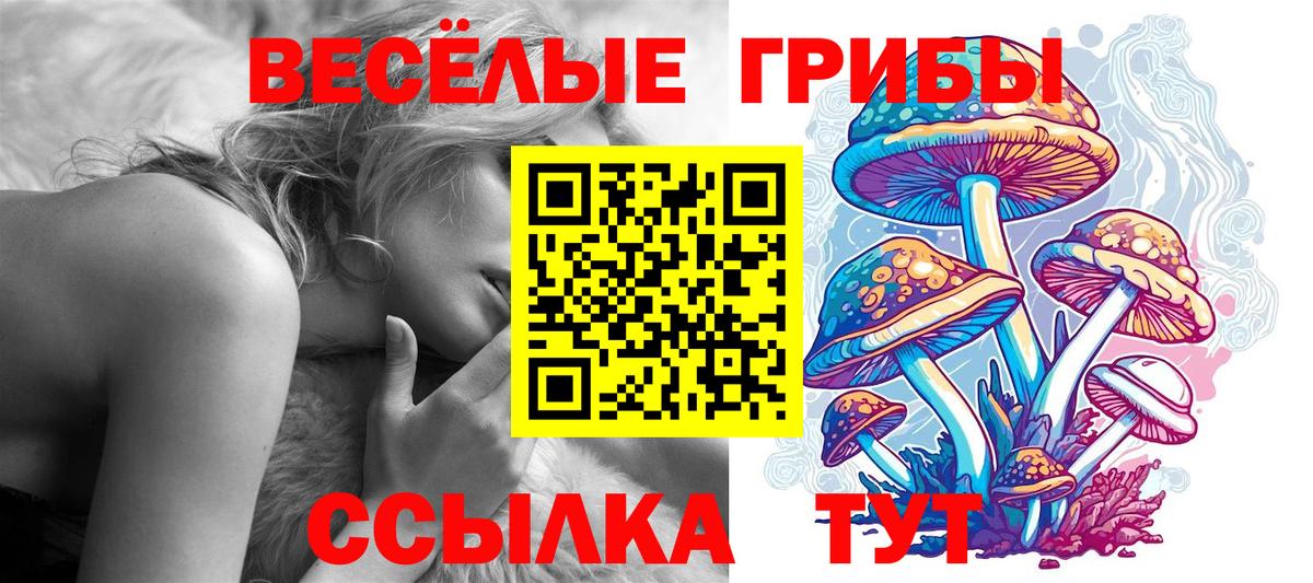 Псилоцибиновые грибы Psilocybine cubensis  Псилоцибиновые грибы MAGIC MUSHROOMS  Вход с VPN  Сатка 
