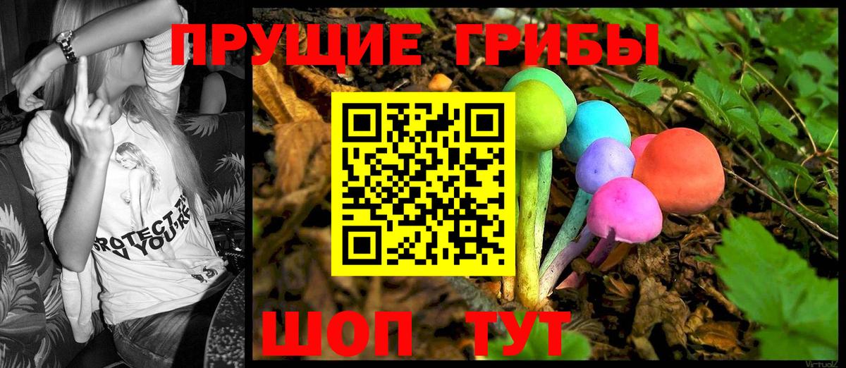 Галлюциногенные грибы Psilocybine cubensis Сатка